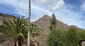 Casa Colonia - Image 4