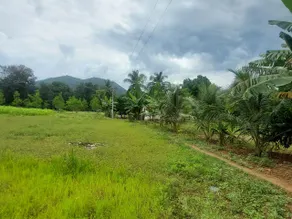 GO2 Village Homestay - Image 3