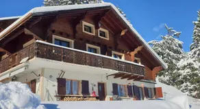 Chalet le Grenier des Crosets, Vue exceptionnelle sur les Dents du Midi - Image 3