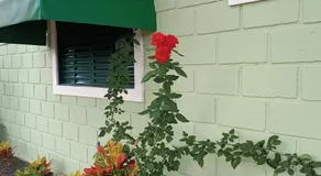 HOTEL RECANTO DOS BURITIS - Image 4