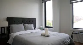 Furnished Apartment in DC - Image 3