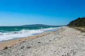 McCrae on the Beach - Image 5