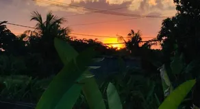 Padi guest house - Image 5