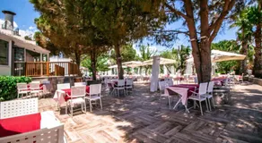 Club Muskebi - Image 2