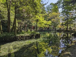 Fukujyuso - Image 4