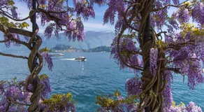 Villa L'Approdo - Image 5