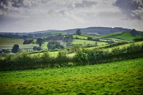 Newlands Farm Stables - Image 5
