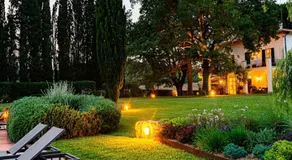 Ghiaccio Bosco - Image 2