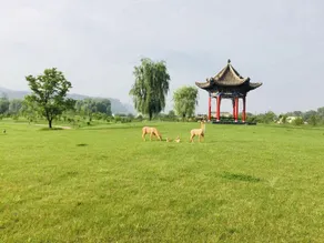 Linxia Shenquan Hotel - Image 3