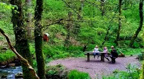 Ballyhoura Farm Escape Experience with Alpacas & Fairy Forest - Image 2