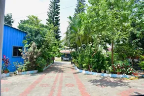 Serinity guesthouse offers a calm and comfortable - Image 4