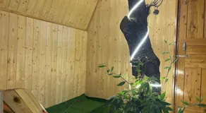 The nature view A shaped tree cottage - Image 5