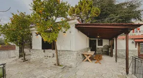 Pelion Green House - Image 4