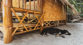 Echo Beach Hostel - Image 5