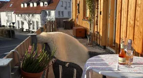 Übernachtung beim Bio-Metzger "Zimmer Rosl" - Image 4