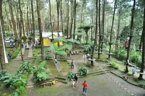 Kopeng Tretop Adventure Park - Image 3