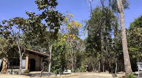 Chale Sucupira - Image 3