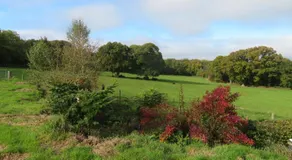 Holland Park Farm - Image 2