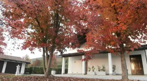 Casa Molly - Image 4