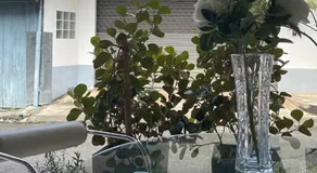 Rynn - Image 4