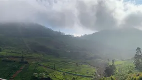 Jai’s Retreat - Image 4