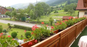 Gasthaus Zur Erle - Image 4