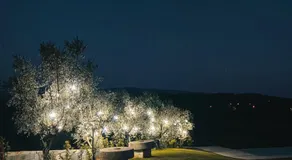 Quinta Dona Iria - Image 5