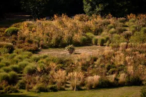 Mount Ephraim Gardens Guest Rooms - Image 4