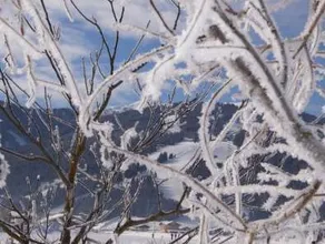Urlaubsland Sonnfeld - Image 4