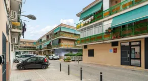 Dobo Pinto Castillo - Image 3