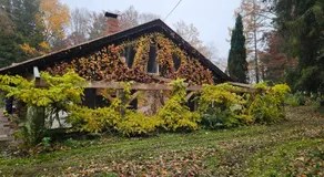 Traumhaus im Wald - Image 4