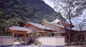 Nonohanatei komurasaki - Image 5