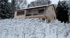 CasaVitis "Erholung am Weinberg" - Image 3
