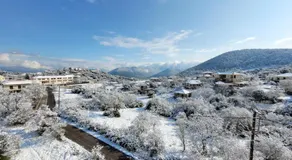 Xenonas Epavli - Image 4