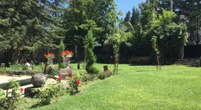 Finca Villa Ángeles - Image 4