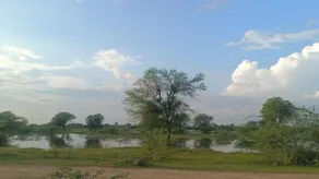 Matra Chhaya farmhouse - Image 5