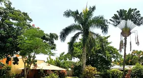 Fata Morgana Eco Hotel - Image 5