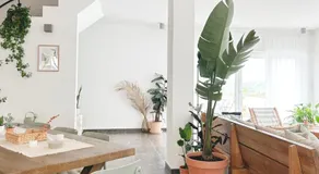 Saone Guesthouse - Coworking & Retreat Location - Image 5