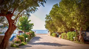 Camping Nopigia - Image 5