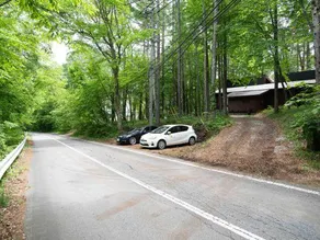 Forest time - Image 2