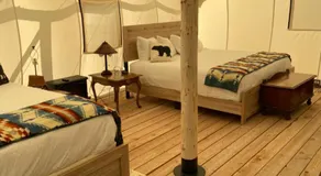 Yellowstone Dreamin Camp - Image 2