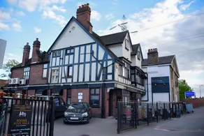 Casuarina Tree - Image 3