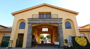 Hotel Mermaid (Adult Only) - Image 3