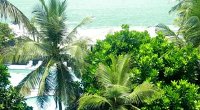 Sea Shine Beach Hotel - Image 5