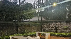 Pine Tree Garden - No Alcohol Zone - Image 5