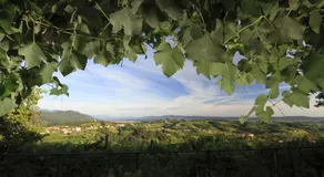 Pri Marjotu - Image 5