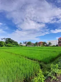 Bali Riana Villa - Image 4