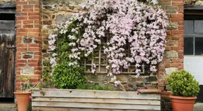 Brook Farmhouse - Image 4