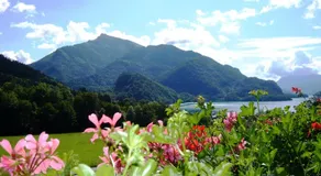 Frühstückspension Seeblick - Image 5