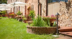 Il Martellino - Image 3